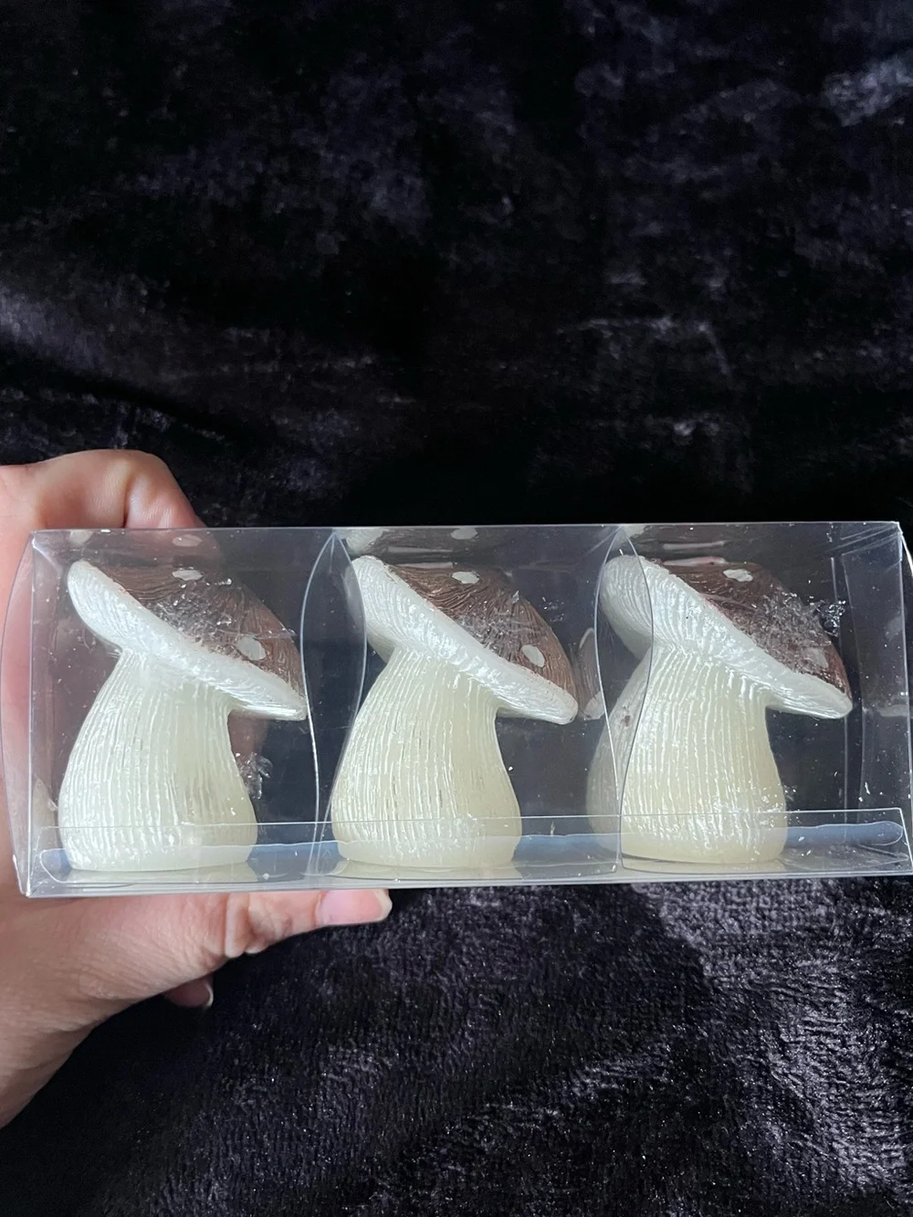 NWT NIB Ashland Mushroom Candles set of 3